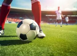 台媒透露汪,小菲大,关系紧张,凤凰彩票,凤凰彩票官网,凤凰彩票Phoenix,Lottery官网